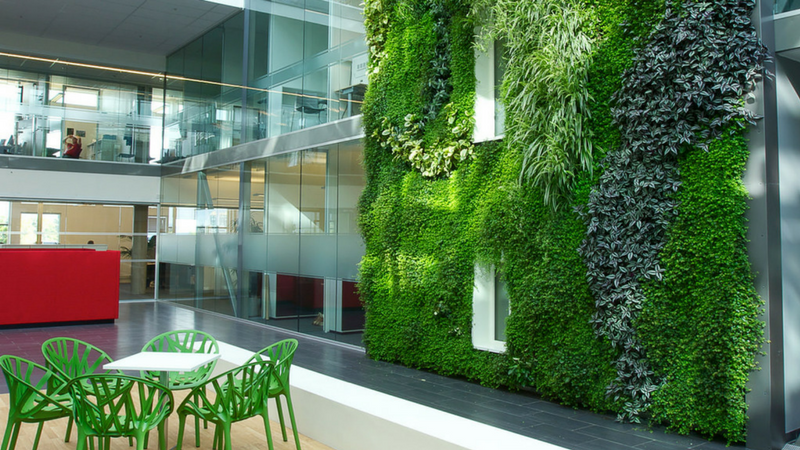 biophilic Desing