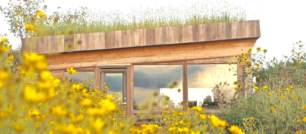 Green Roof Barnwood