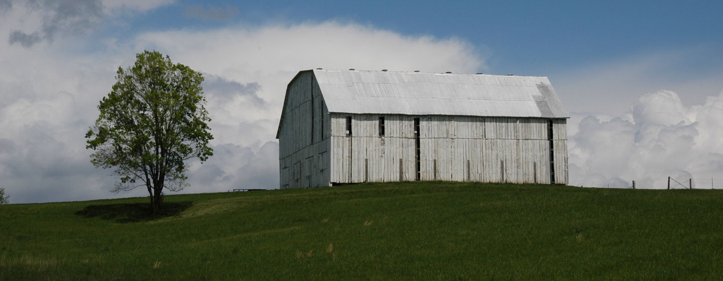 Reclaimed White Barn 