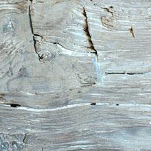 Close-up of a weathered wooden surface with visible grain and cracks. The wood appears aged and textured, with a mix of light brown and gray tones.
